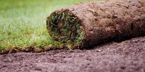 Sod and new lawn installs
